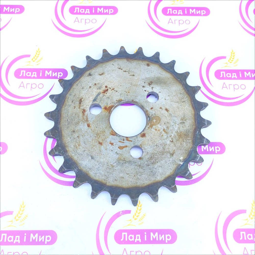 01021500 Sprocket (CAPELLO)