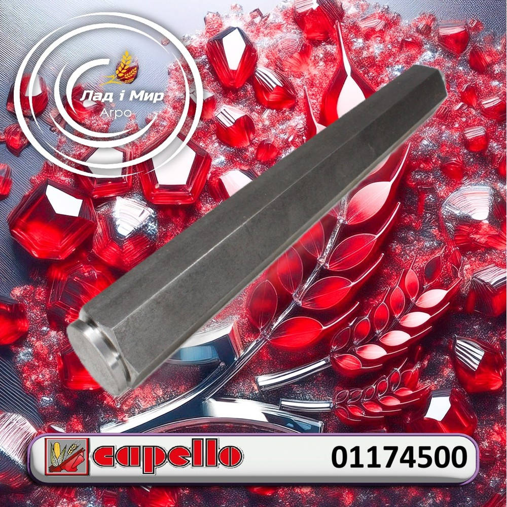 01174500 Hexagonal Shaft with Thread (CAPELLO)