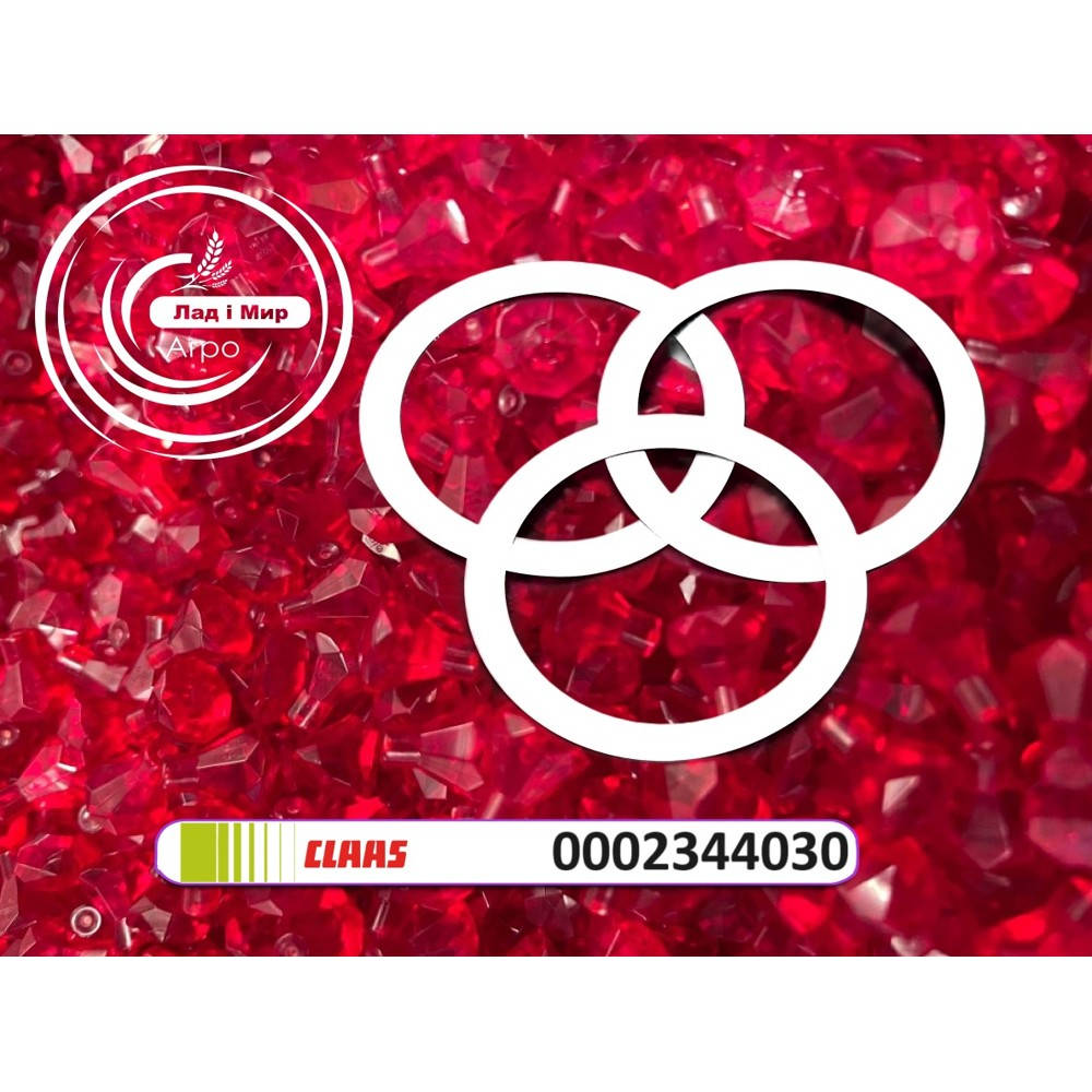 0002344030 Washer (Claas)