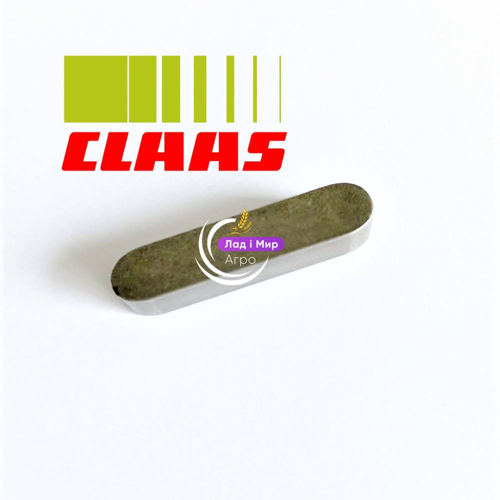 0002382120 Prism Key (Claas)