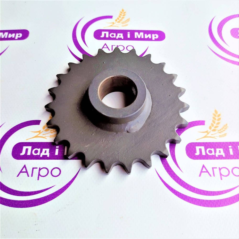 0006395951 Zębatka elewatora Z=23 d=30 (Claas)