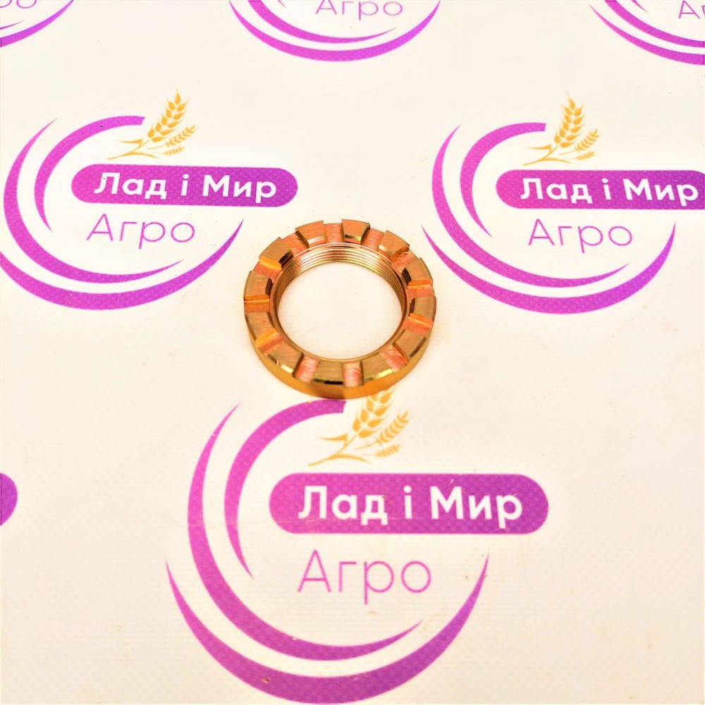 0007522121 Slotted Nut (Claas)