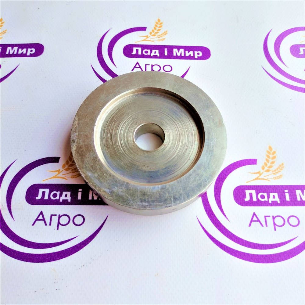0007537570 Locking Plate (Claas)