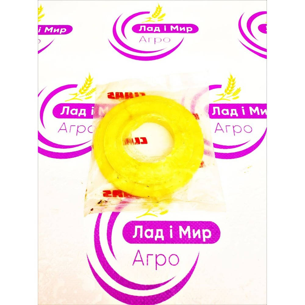 0013132094 Washer (Claas)