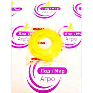 0013132094 Washer (Claas)