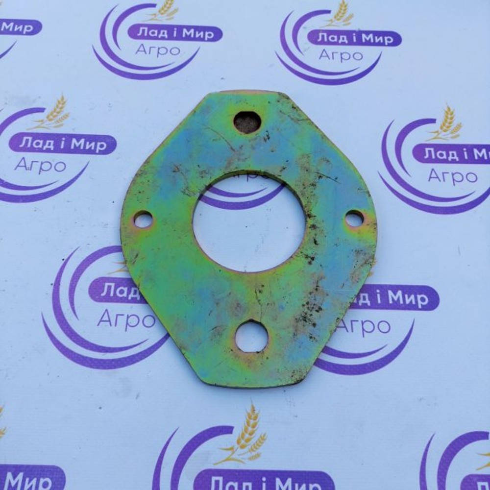 0013137790 Plate (Claas)