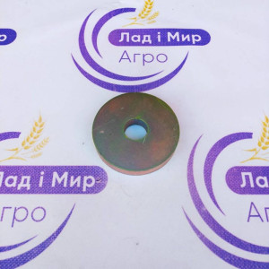 06220844 Шайба (CNH)