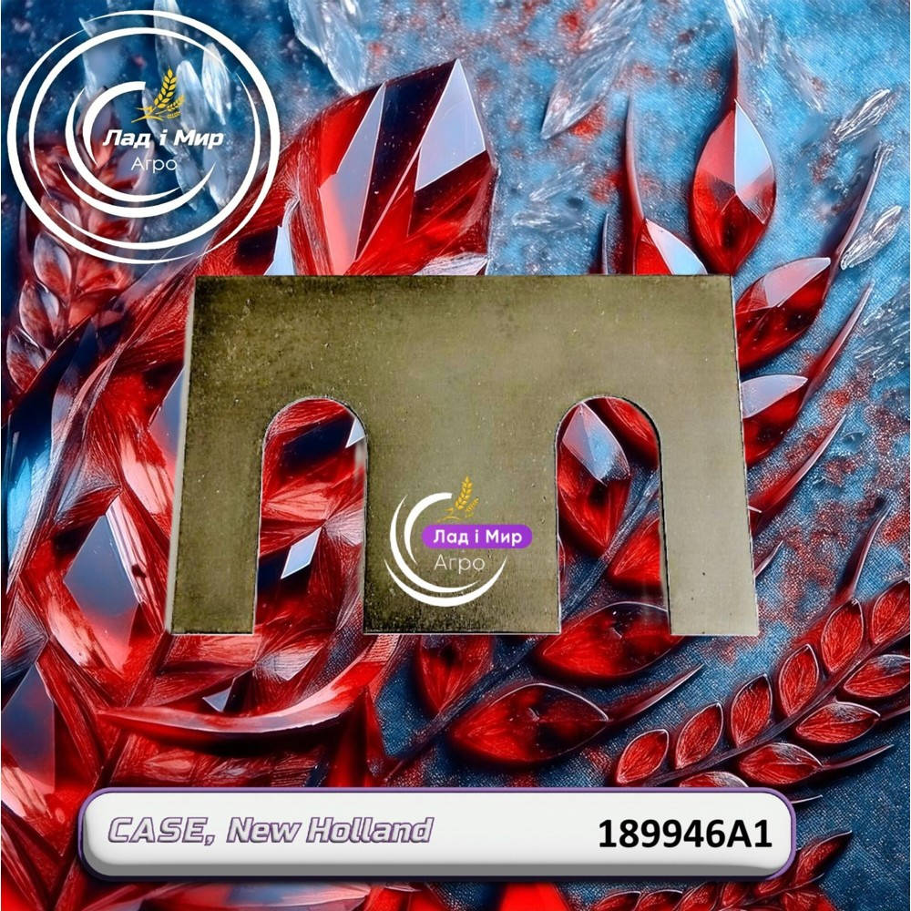 189946A1 Gasket (CNH)
