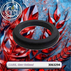 3063294 Seal (CASE)