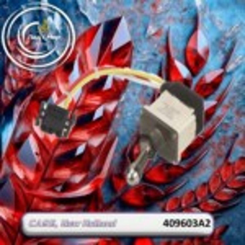 409603A2 Switch VVP (CNH)
