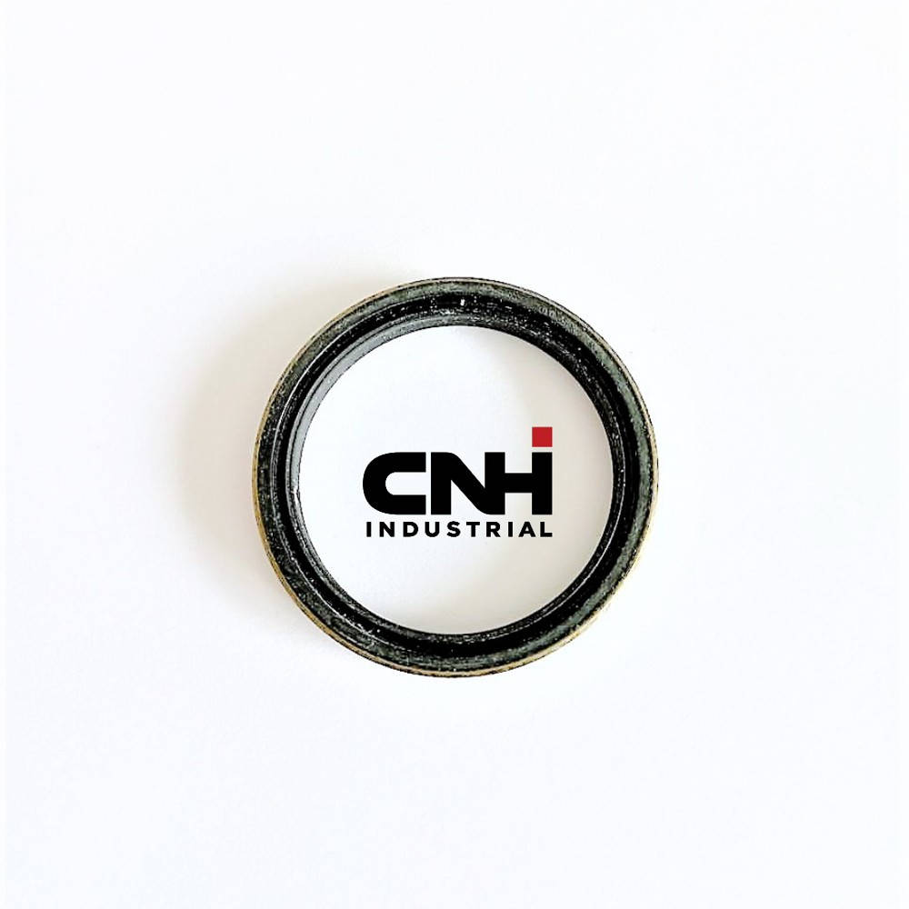 428129A1 Seal (CNH)