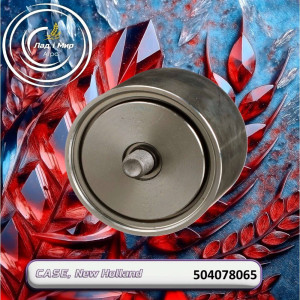 504078065 Tensioner Pulley (Seig500)