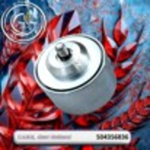 504356836 Tension Roller (CNH)