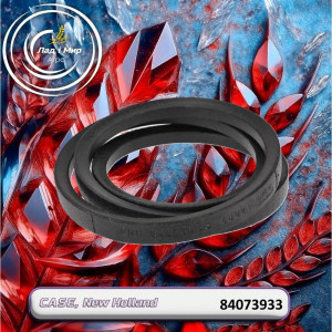 84073933 Pass 1905 mm L x 22 mm W (CNH)
