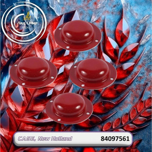 84097561 Cap (CNH)
