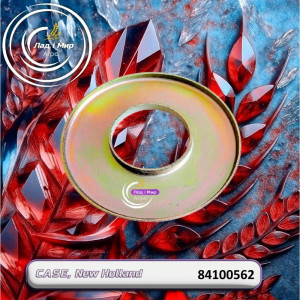 84100562 Washer (CNH)