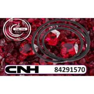 84291570 - Wobble Box V-Belt - 4570 mm L × 22 mm W × 1 Rib (CNH)
