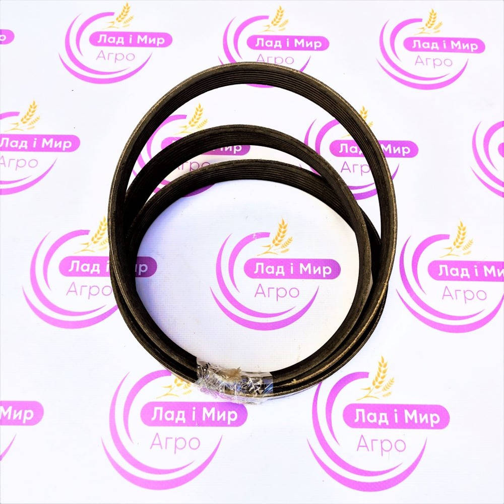84371625 Pas poliklinowy (8 PK) LGTH = 1870 mm L (CNH)