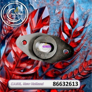 86632613 Oczko palca ślimaka hedera (CNH)
