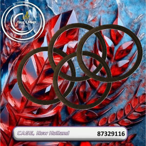 87329116 Washer (CNH)