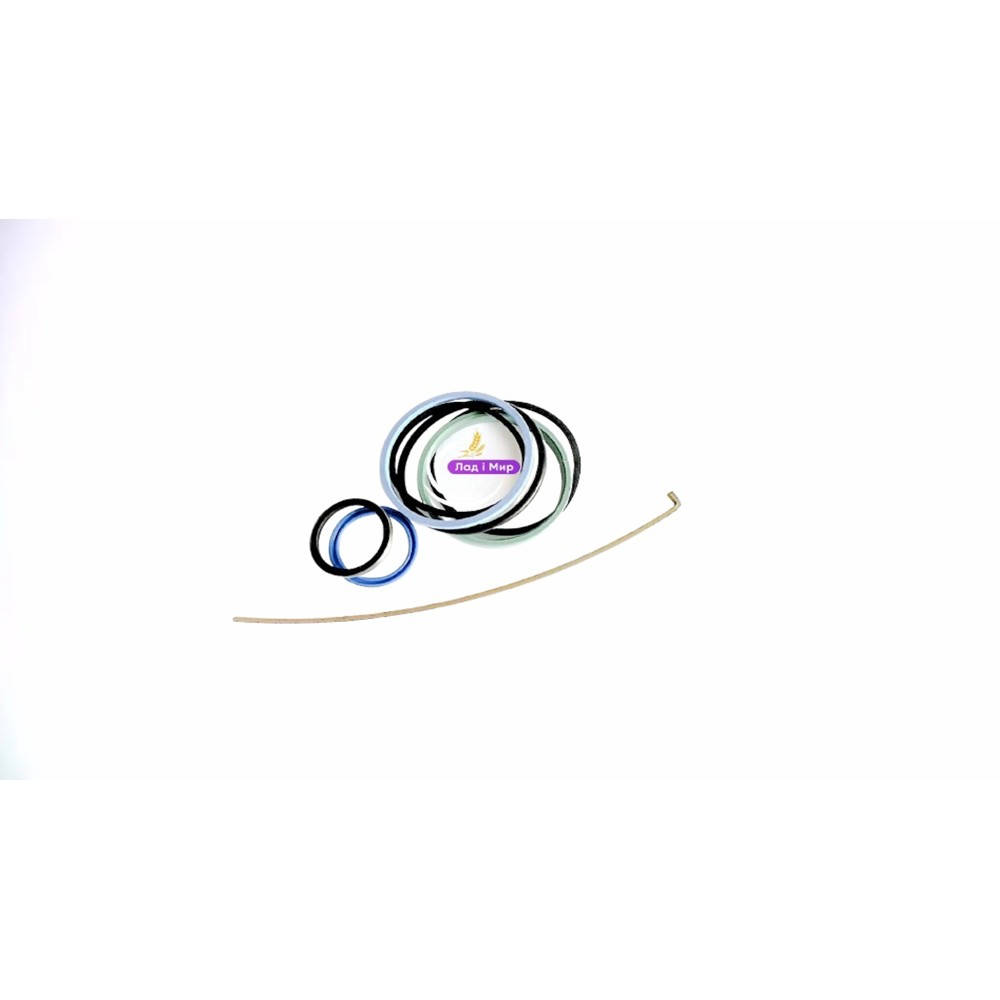 87405012 Hydraulic Cylinder Repair Kit (CNH)