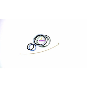 87405012 Hydraulic Cylinder Repair Kit (CNH)