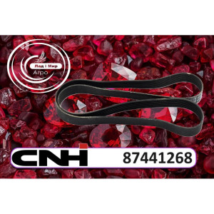 87441268 Drive Belt for Generator Pump (CNH)