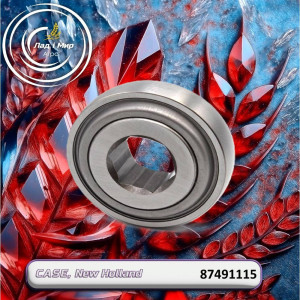 87491115 Bearing with 6-sided hole (28.7 mm x 80 mm) (CNH)