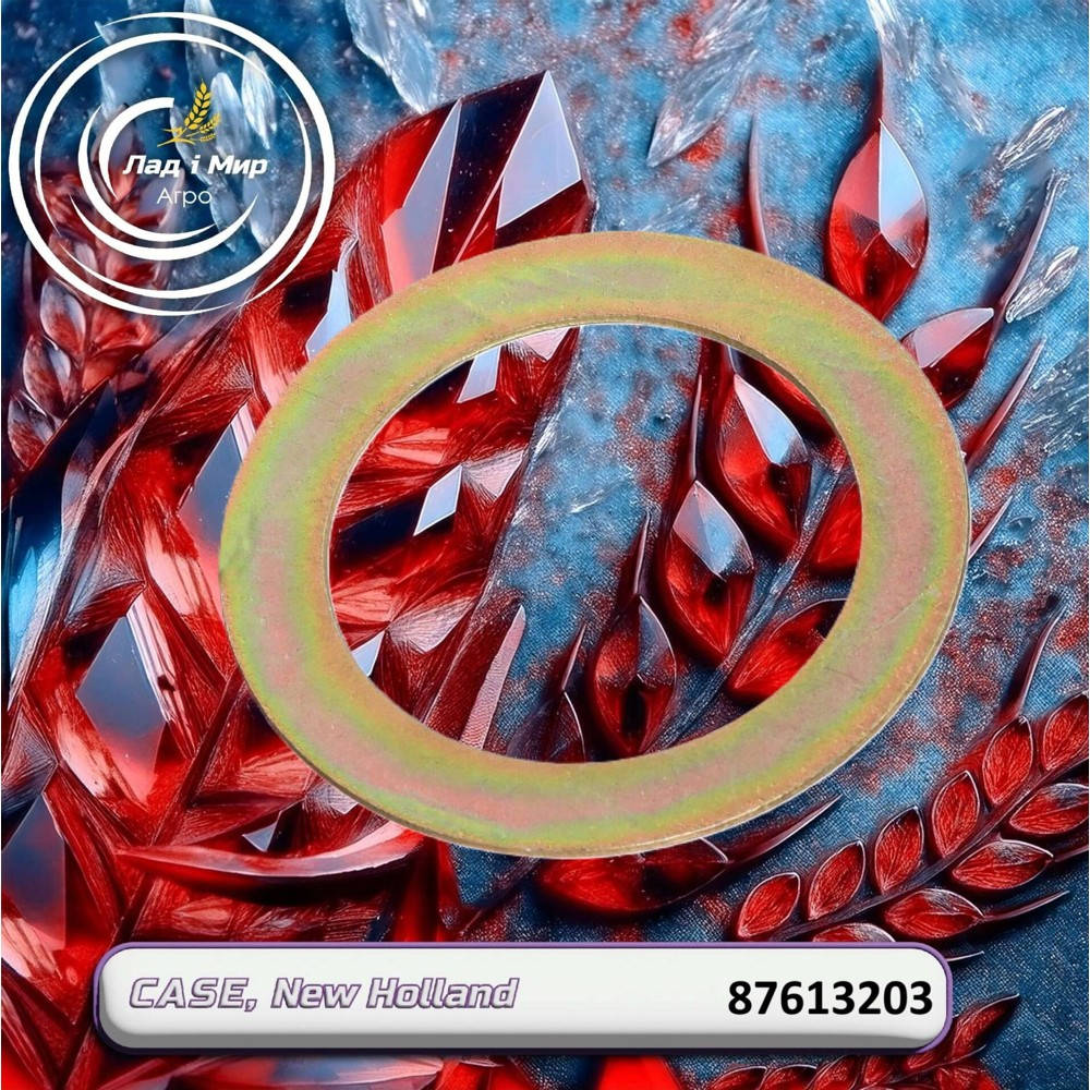 87613203 Washer (495-81082, 495-81092), 8230 (CNH)