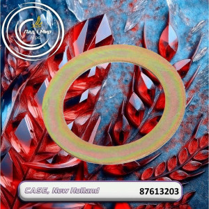 87613203 Washer (495-81082, 495-81092), 8230 (CNH)