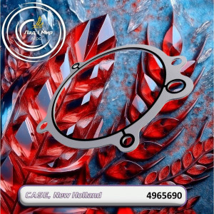 4965690 Drive Gasket (CUMMINS)