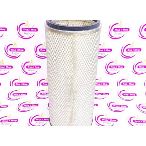 P122425 Фільтр повітряний (DONALDSON)