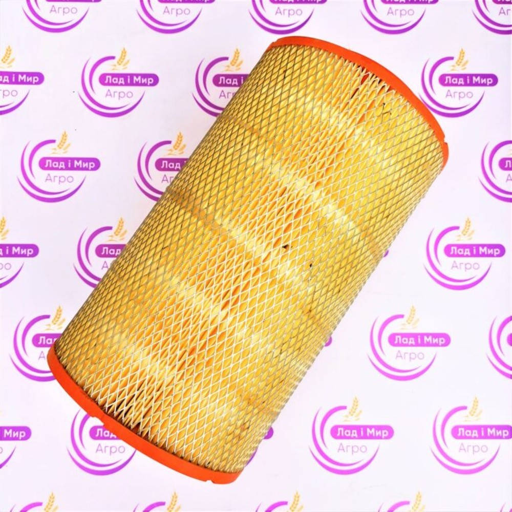 DR5161 Air Filter (FILTERS)