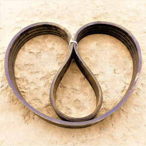 0125244 Пас (GATES)