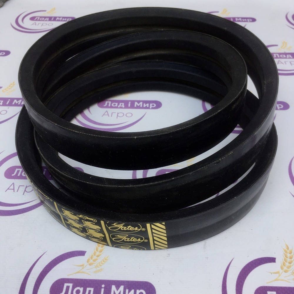 0223195 Belt (GATES)