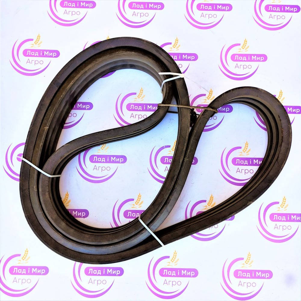 0244316 Belt (GATES)