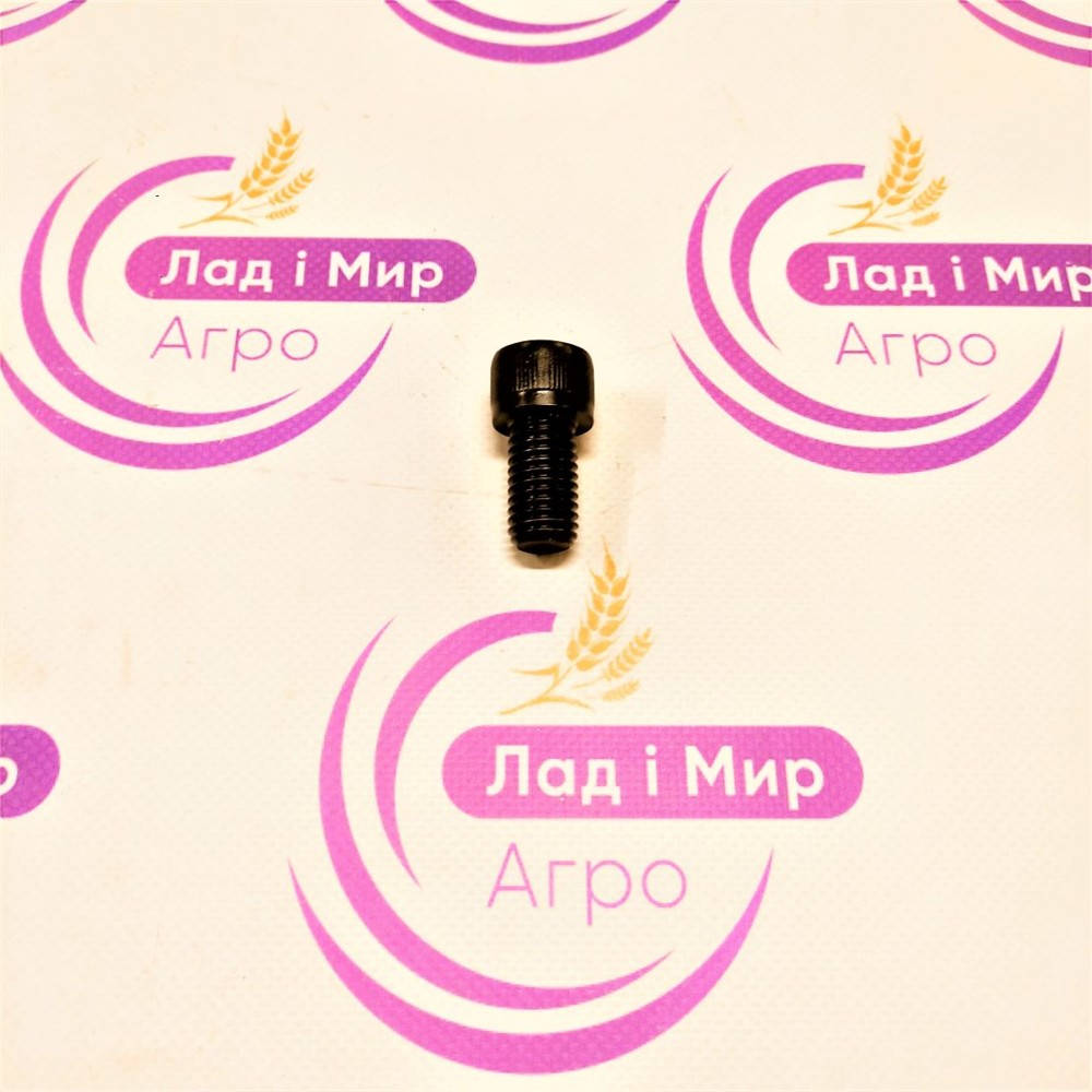 040591 Bolt (GERINGHOFF)