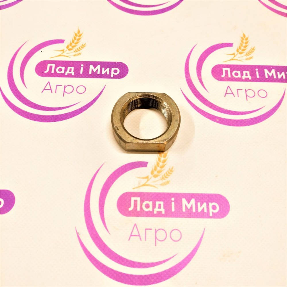 501077 Nakrętka (GERINGHOFF)