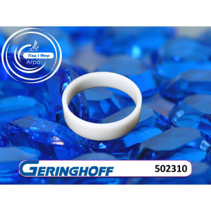 502310 Ring (GERINGHOFF)