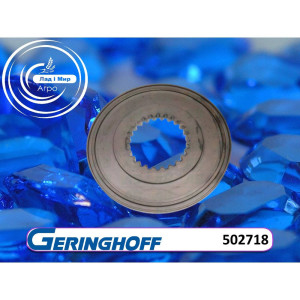 502718 Washer (GERINGHOFF)
