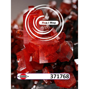 371768 Форсунка (HARDI)