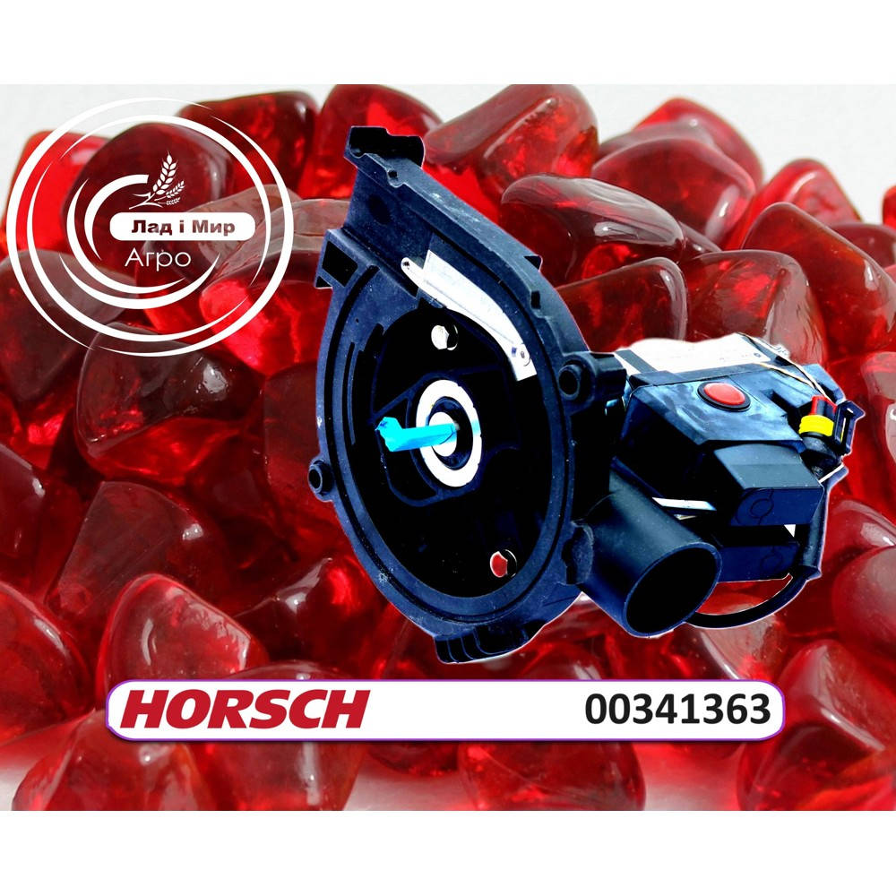 00341363 Motor (HORSCH)