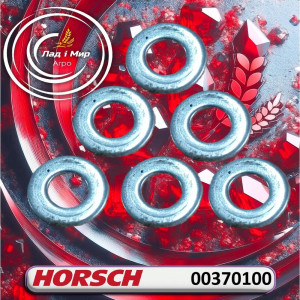 00370100 Washer (HORSCH)