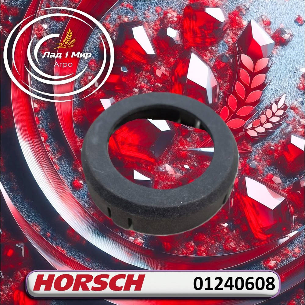 01240608 Washer (HORSCH)