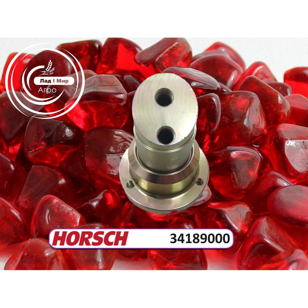 34189000 Вузол підшипниковий Horsch (HORSCH)
