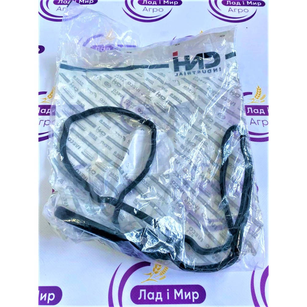504070039 Gasket (IVECO)