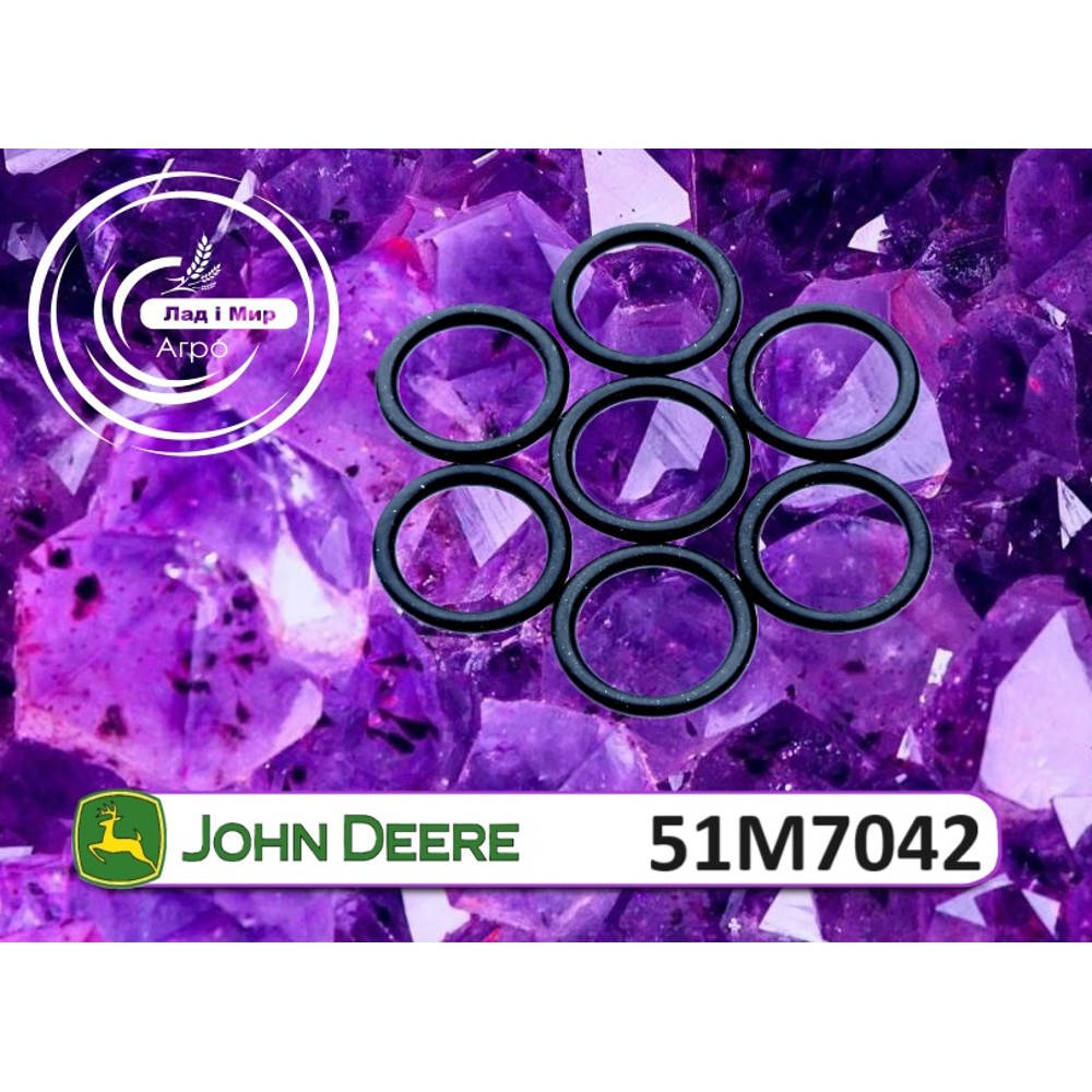 51M7042 Ring (John Deere)