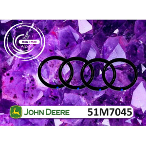 51M7045 Ring 19.3x2.2 (John Deere)