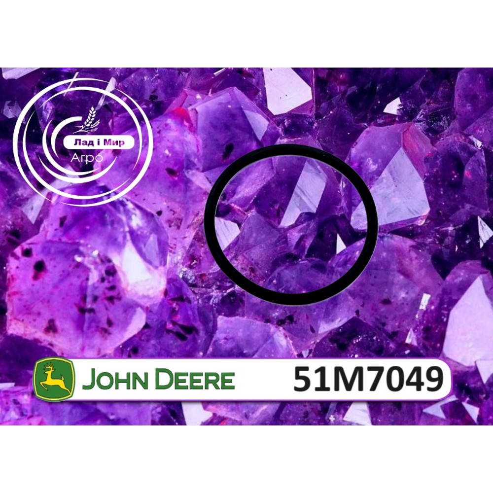 51M7049 Ring (John Deere)