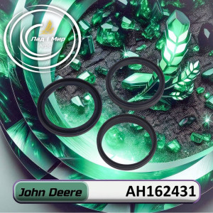AH162431 Hydraulic Cylinder Seal Kit (John Deere)